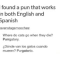 Pun that works in both English and Spanish