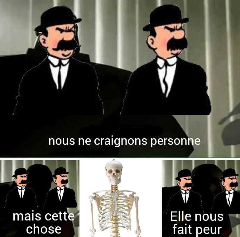 Le squelette c'est Bien Vous ?(La modo j'en à rien à cirer) - meme