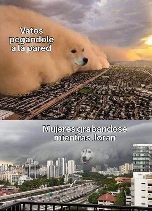 Son lo mismo - meme