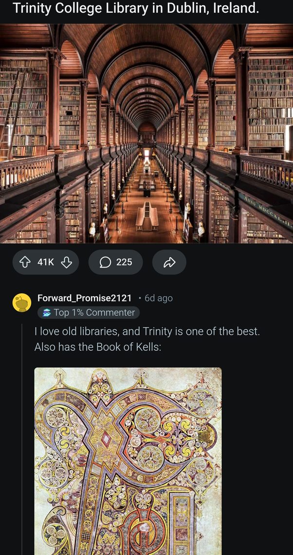This library looks like it holds every answer except how to pay rent - meme