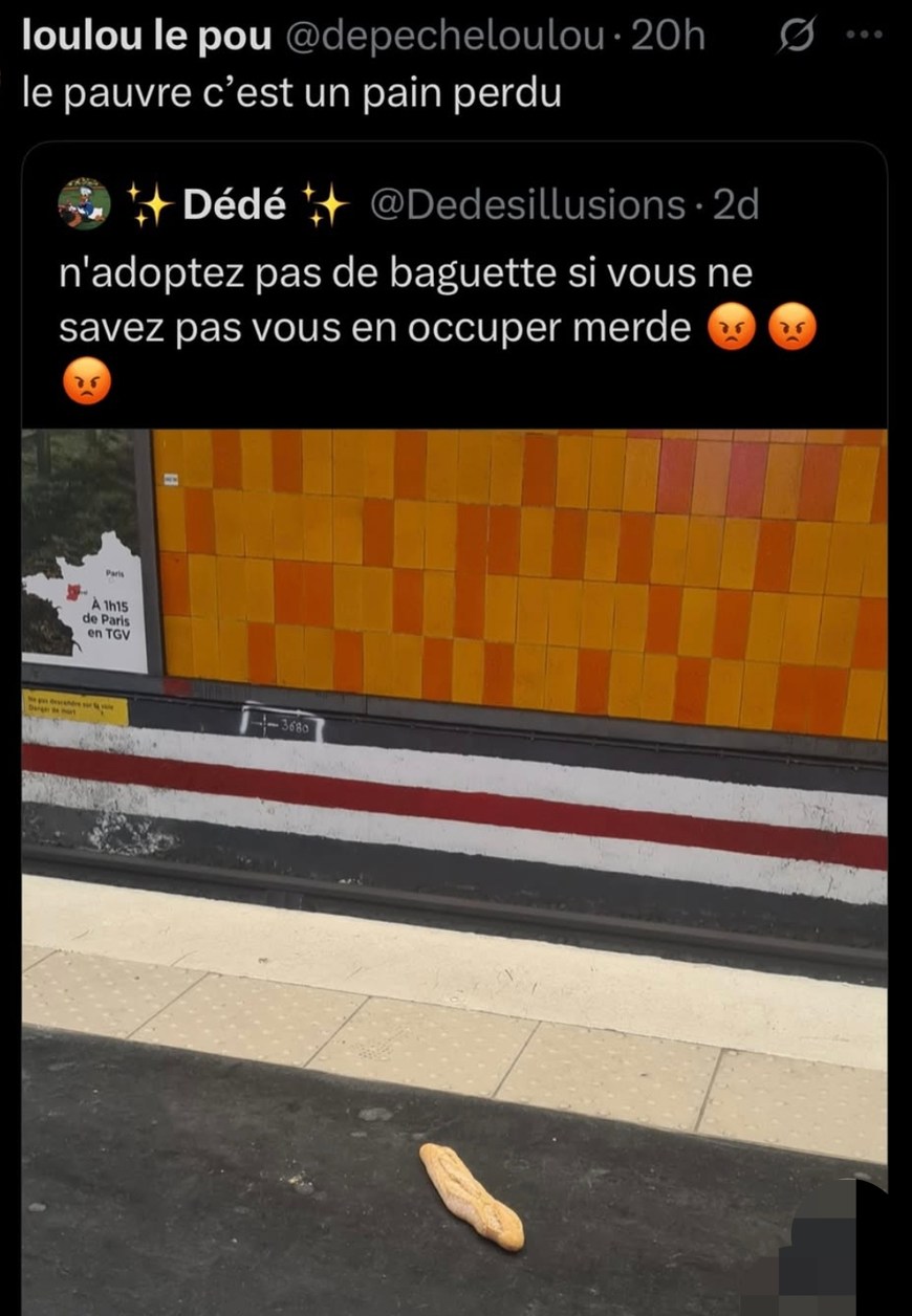 N’adoptez pas une baguette si vous savez pas vous en occuper - meme