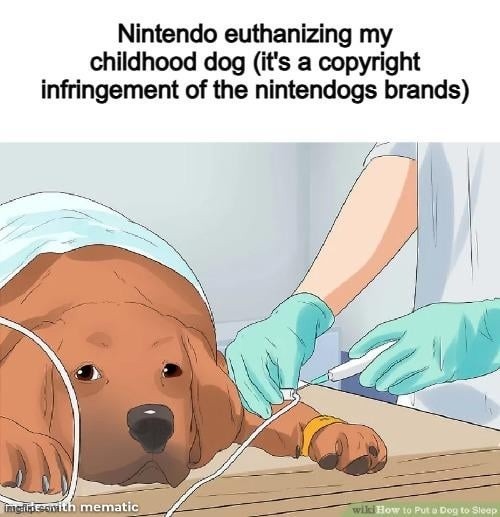 Nintendo out here deleting childhoods over Nintendogs - meme