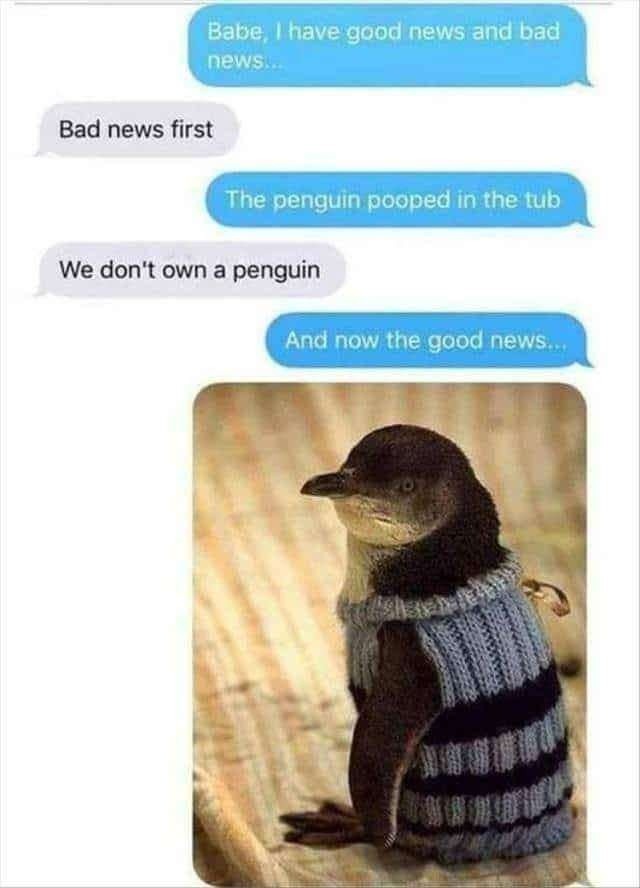 Babe, bad news: penguin pooped in the tub. Good news: we don’t own a penguin - meme