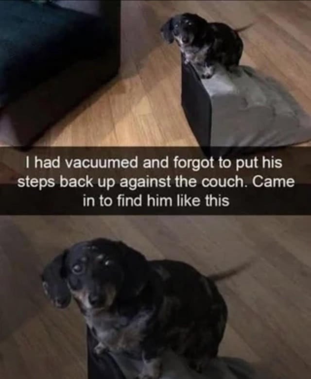 ﻿had vacuumed and forgot to his back up against the couch. Came in t0 find him like this put steps