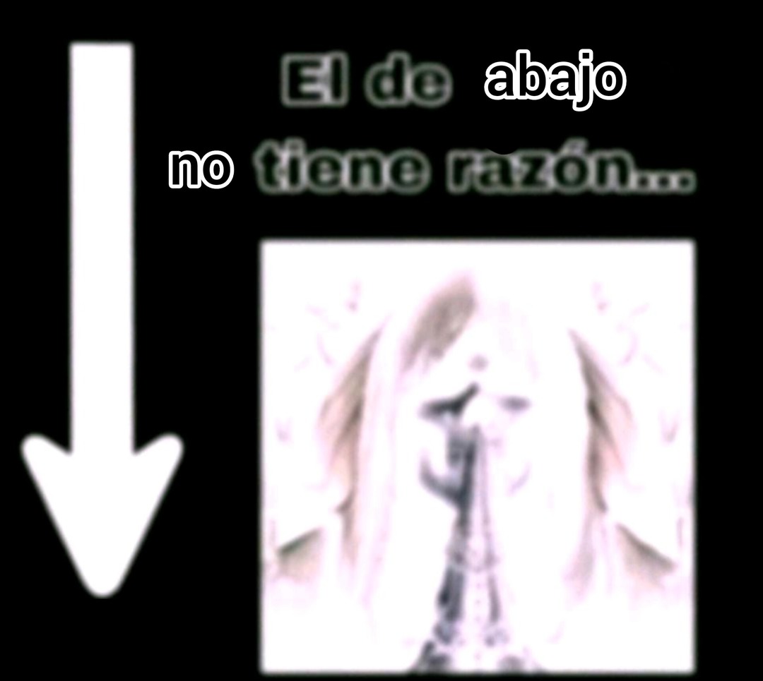 El de abajo no tiene razón... - meme