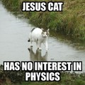 cats = internets