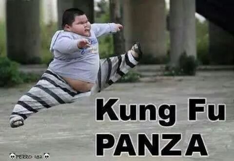 kung fu panza - meme