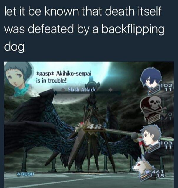 backflipping dog works everytime - meme
