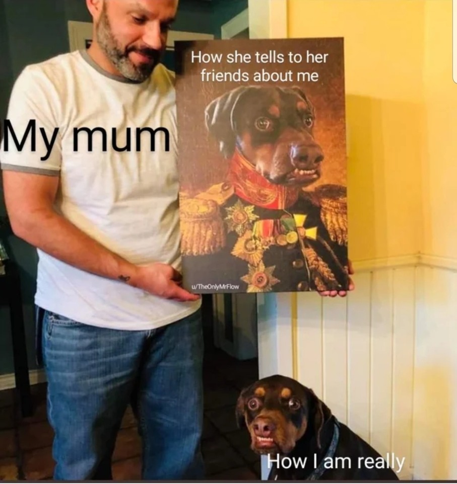 Thanks mom - meme