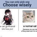choose the normal cat