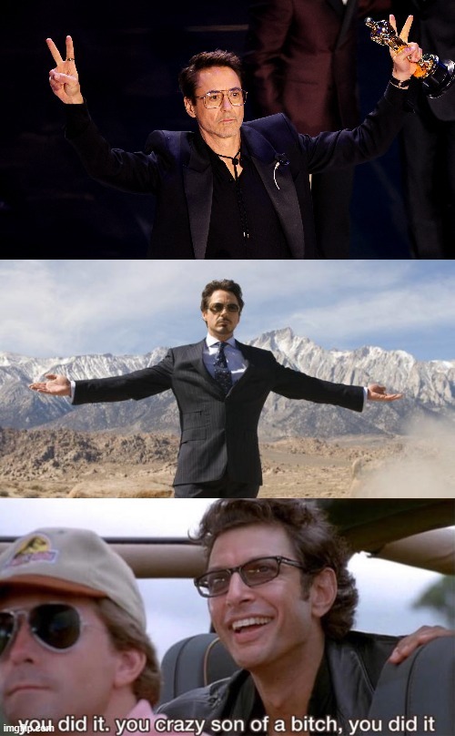 Robert Downey Jr Oscars 2024 meme