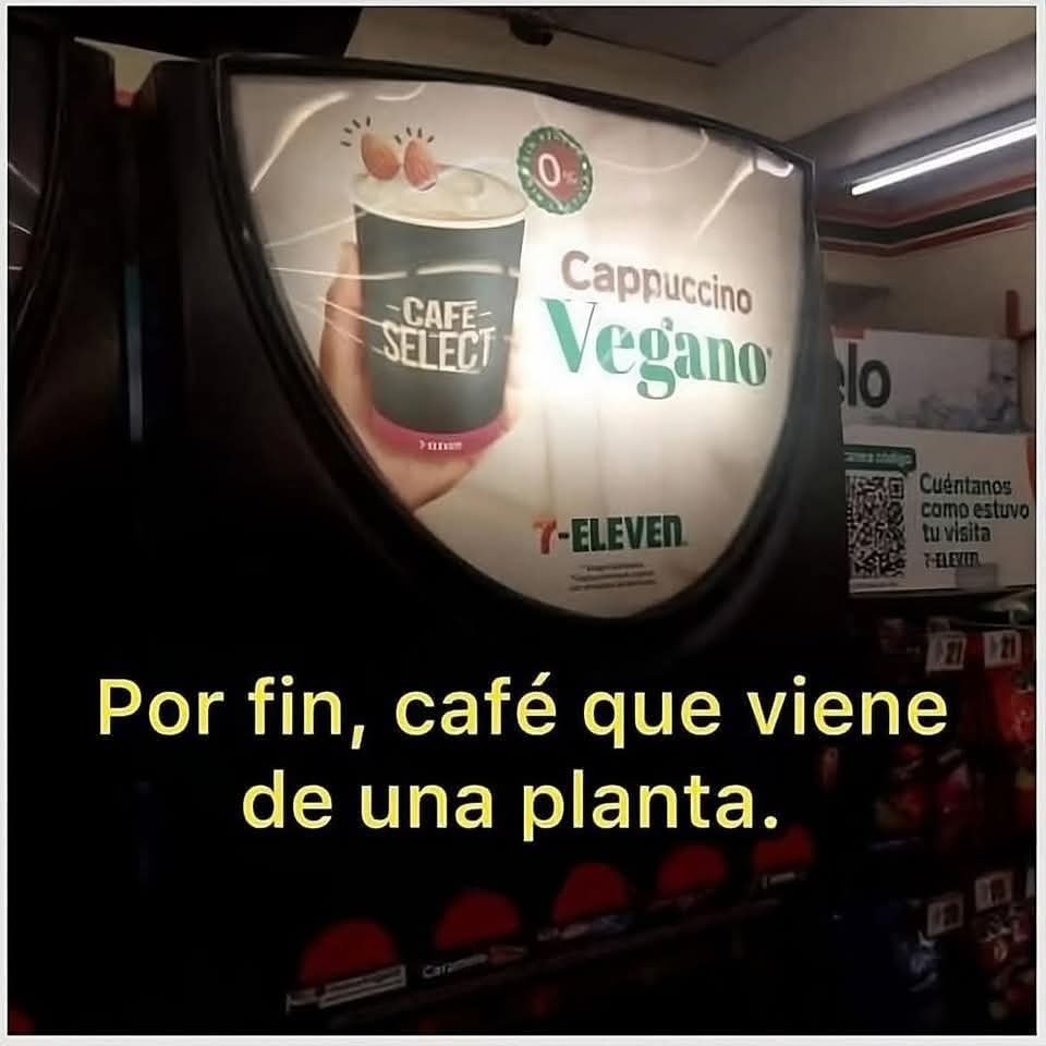 Café - meme