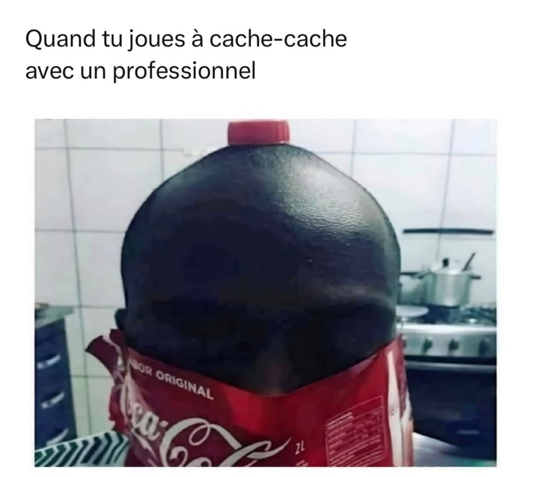 Cache-cache niveau professionnel - meme