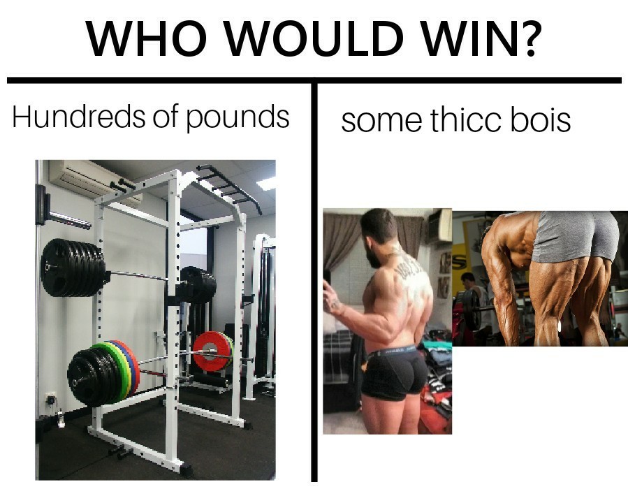 Those are some thicc bois - meme