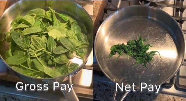 Gross pay vs net pay - meme