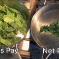 Gross pay vs net pay
