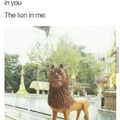 the lion in you