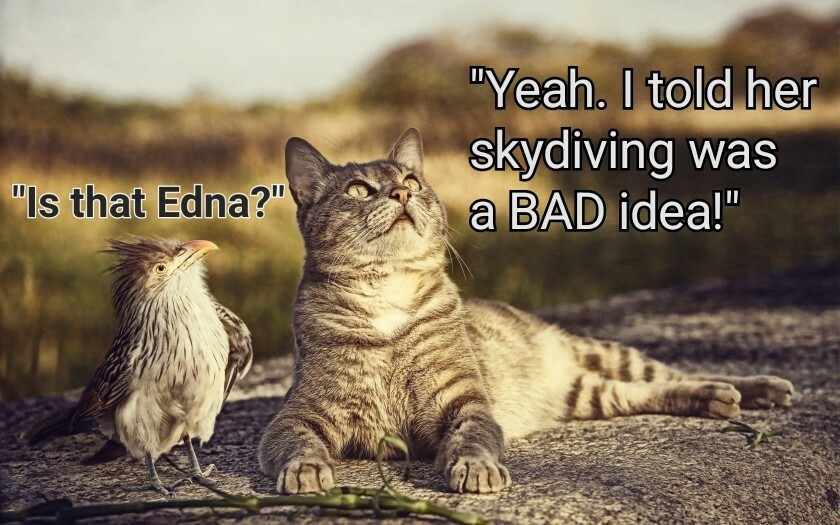 Edna is just weird.... - meme