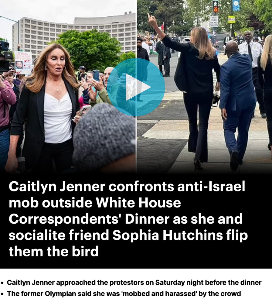 Caitlyn Jenner Confronts Pro-Palestinian Protesters - meme