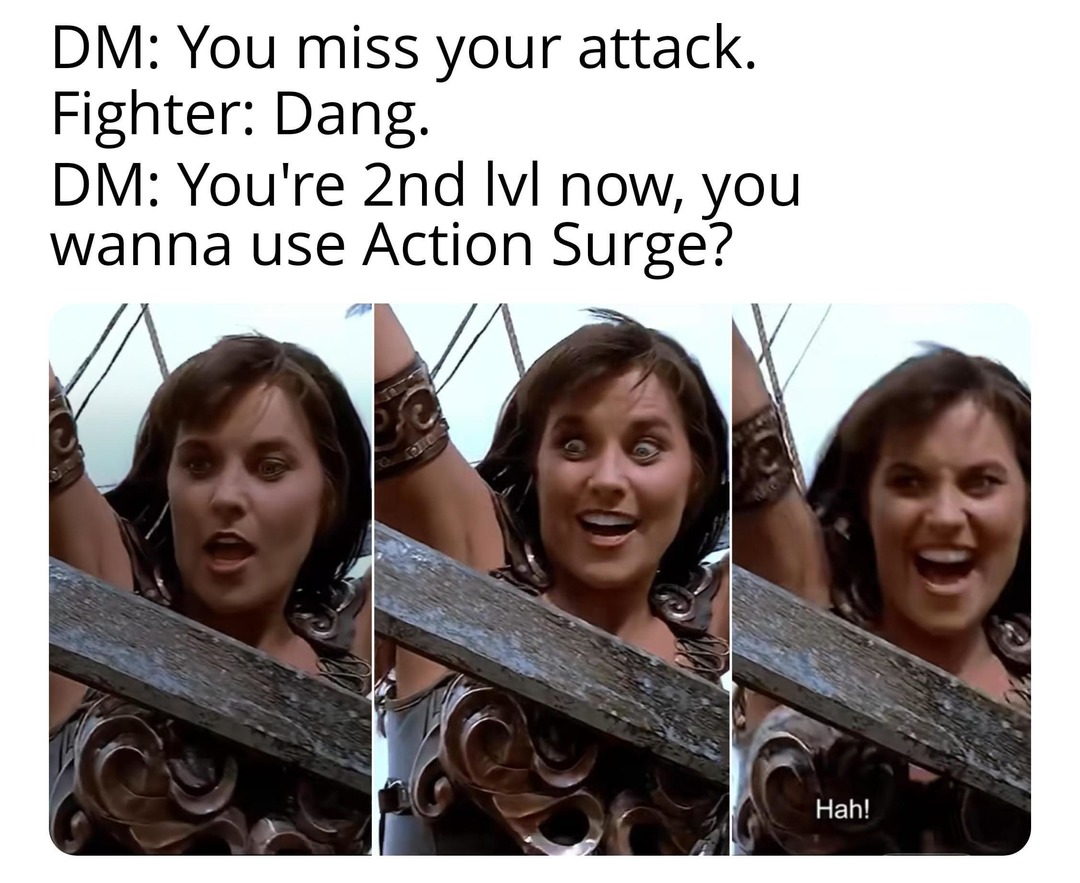 You missed. You’re level 2. Wanna Action Surge? - meme