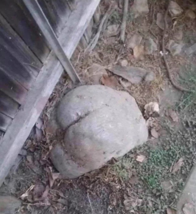 I hit rock bottom today. - meme