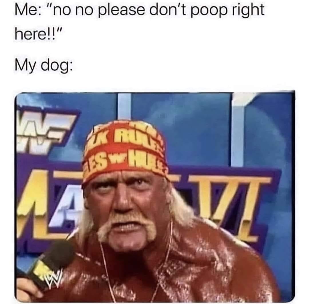Noooooooooooo - meme