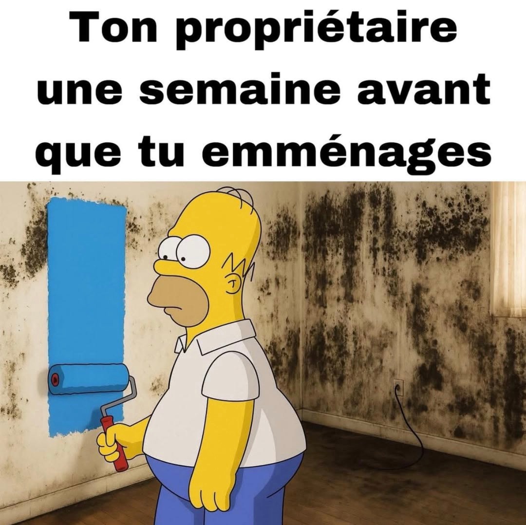 Il t’aime déjà pas - meme