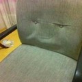 This chair knows something...