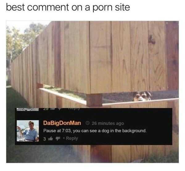 Thats what porn sites are teally about - meme