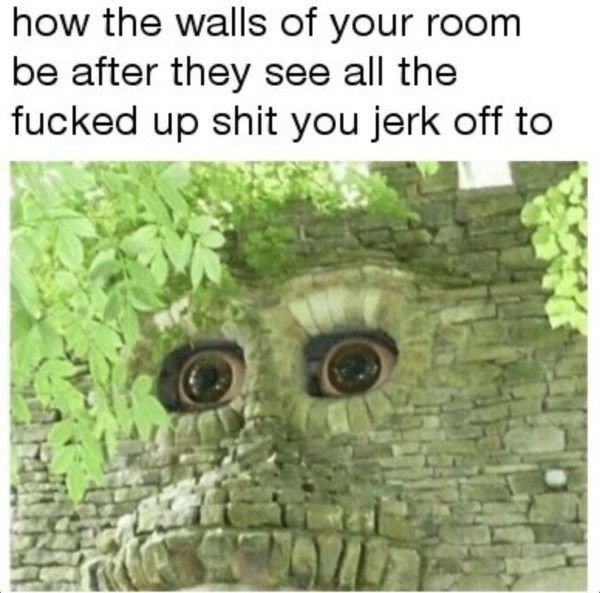 Wall watcher - meme