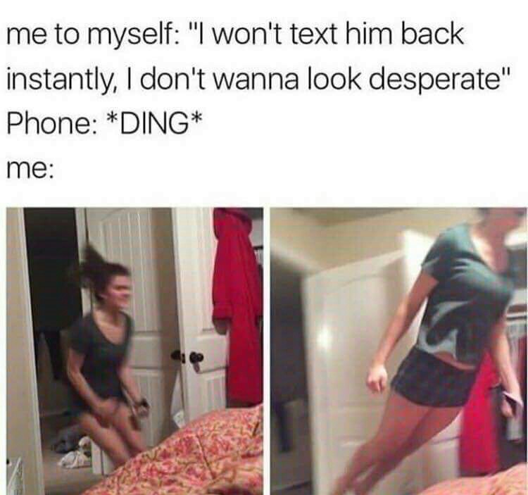Fucking bitches - meme