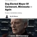 BUT WHAT ABOUT DEMOCRACY!?