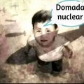 Domada nuclear