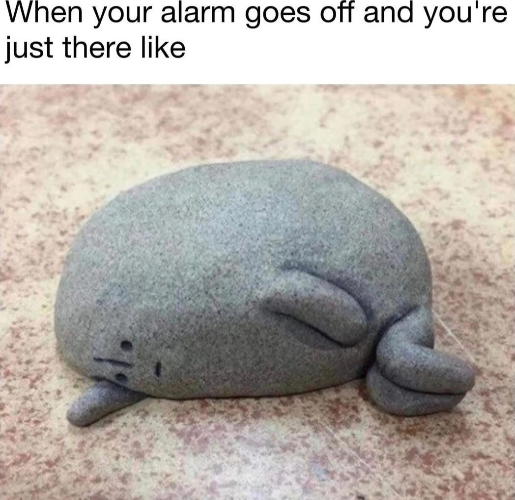 When the alarm goes off - meme