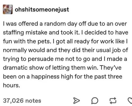 Best day off ever - meme