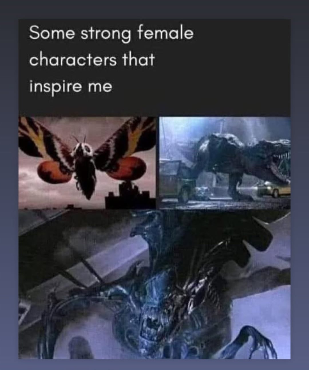 Strong female characters that raised me - meme
