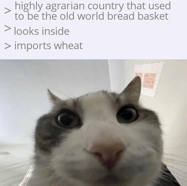 Agrarian countries importing wheat like it’s a vibe - meme