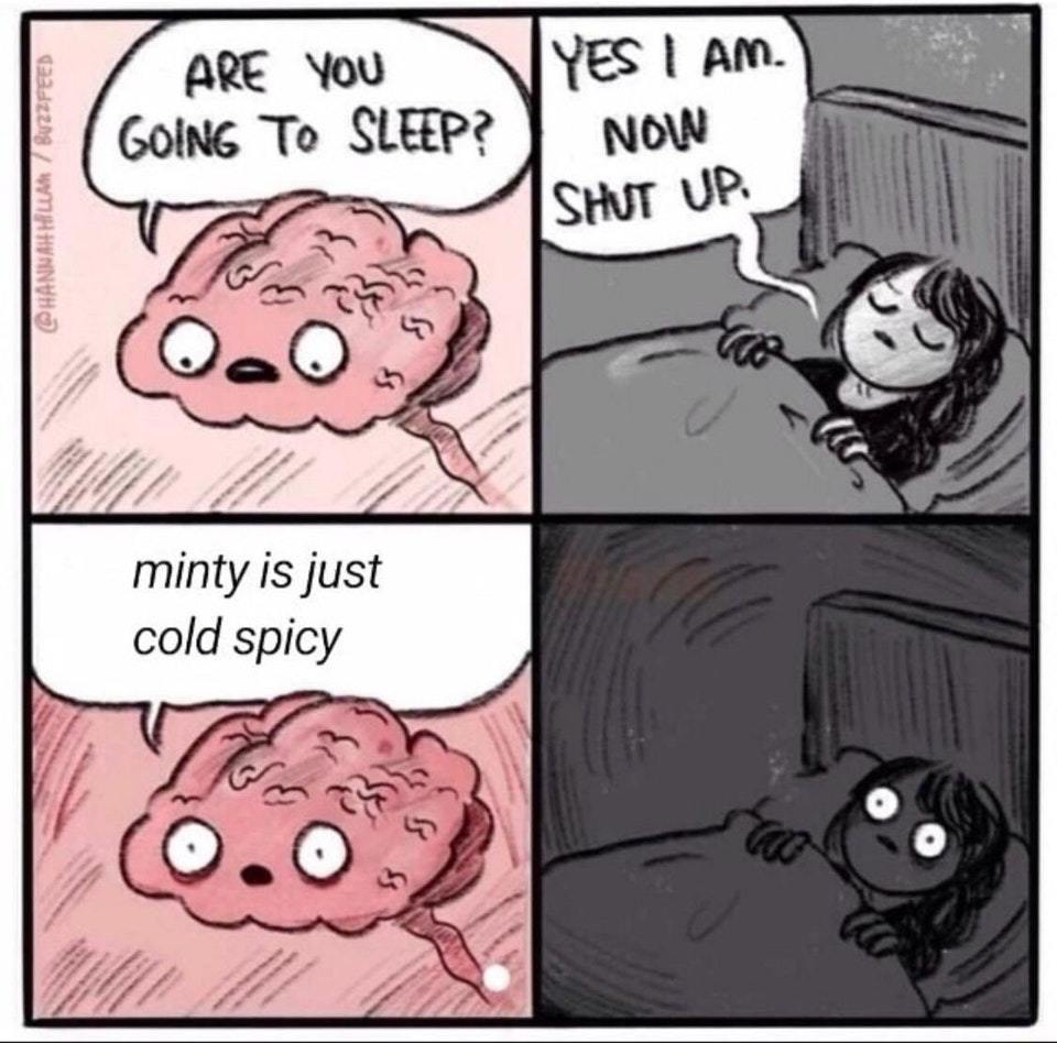 if minty is cold spicy is your mom spicy gay? - meme