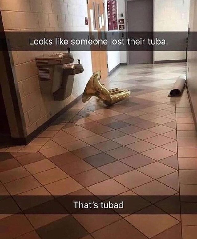 Someone lost their tuba - meme