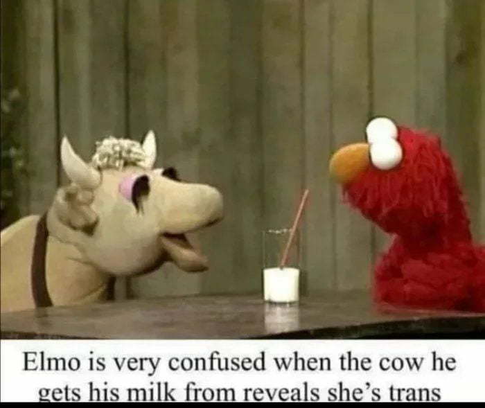 Poor Elmo. - meme