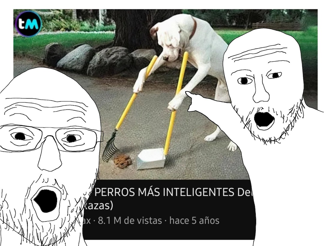 Perros mas inteligentes que memedroiders be like: