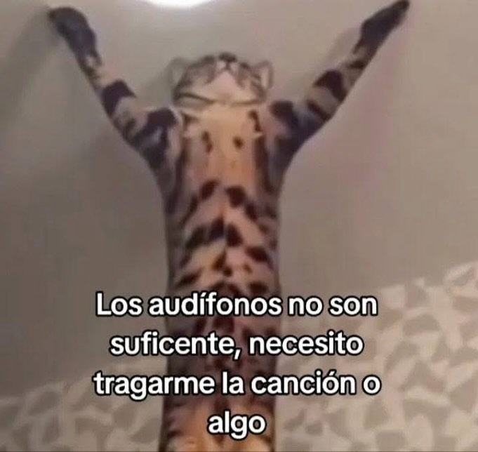 los audífonos no bastan, necesito tragarme la canción - meme