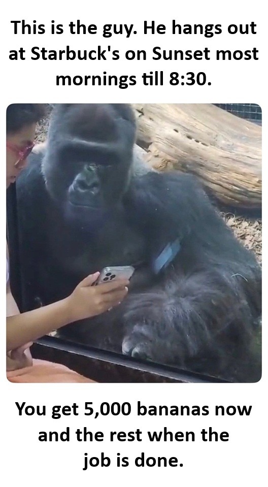 Shitpost - meme