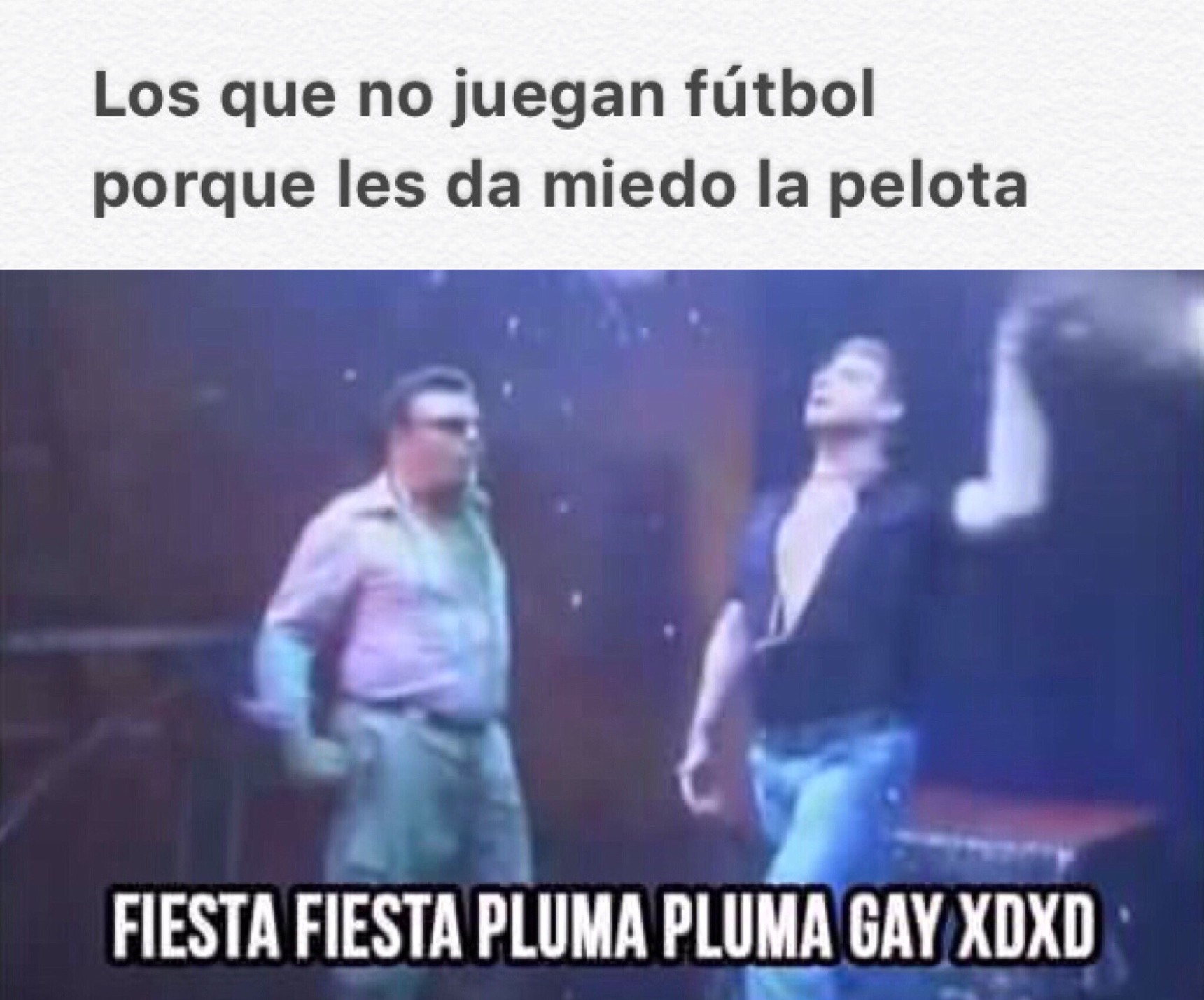 pluma pluma gay xdxdxd - meme