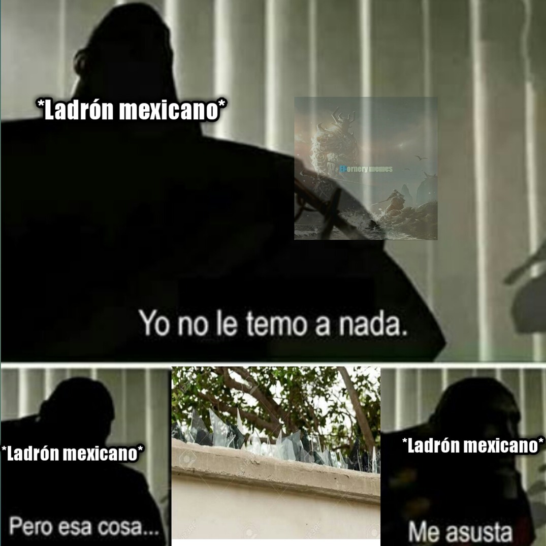 Infalible sistema de protección mexicano - meme