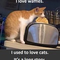 Cats & Waffles