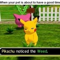 Pikachu noticed the weed. Half smile