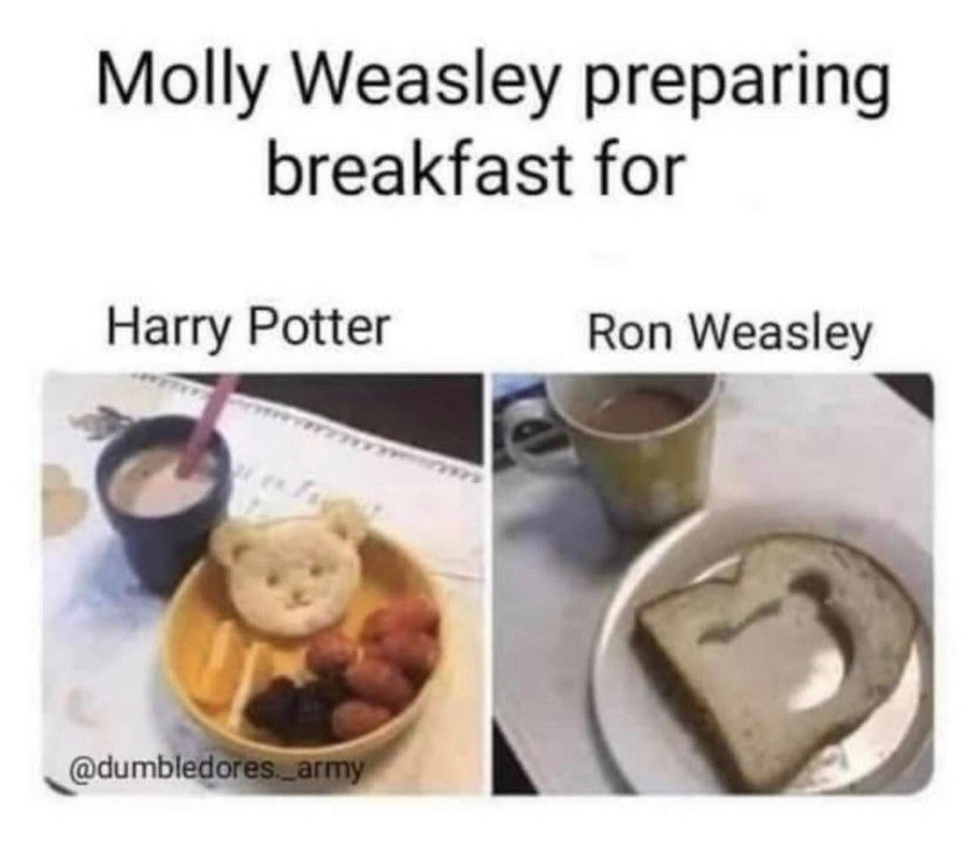 I wonder when Harry realized he was the Dudley of the Weasley family - meme