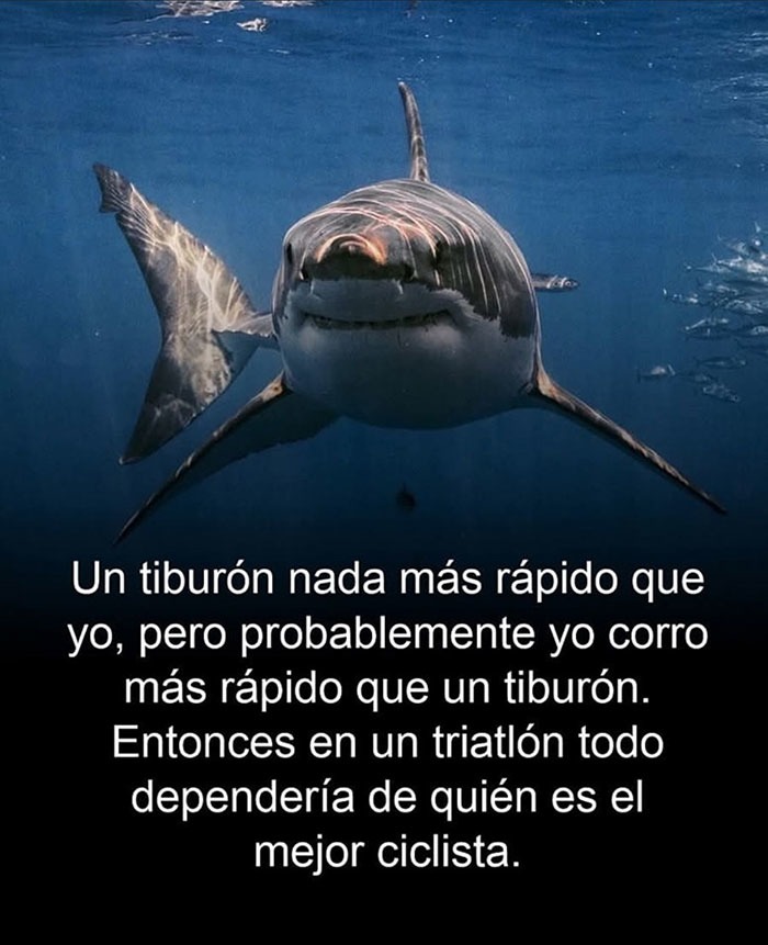 quién será el mejor en triatlon - meme