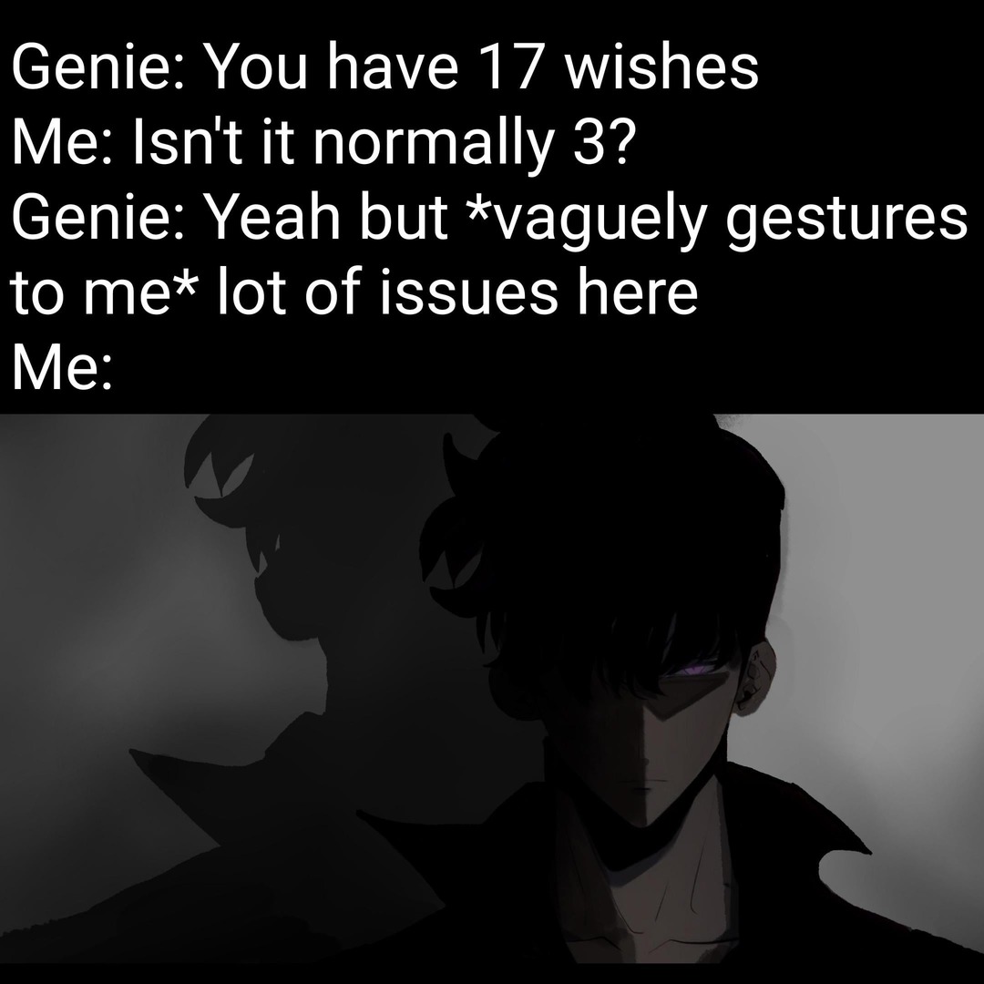 Genie: 17 wishes. Me: Yeah, makes sense. I’m a mess - meme